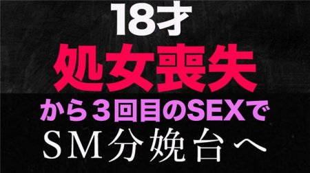 FC2 PPV 3176391 『処女喪失』、正真正銘の本物の処女喪失！『今回で見納めです』半年前まで高○３○生で処女喪失から半年で、初めてのカーSEX、SMホテルで分娩台にチャレンジ！！、１８才！個撮２９４